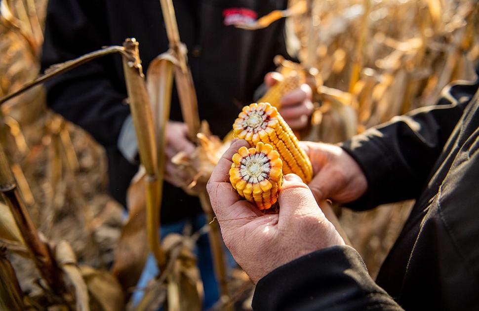 The Science & Process Of Ethanol | Valero